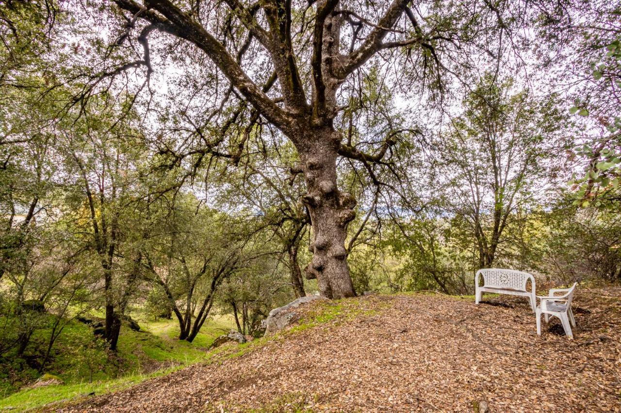 Spectacular Views W/ Hot Tub/Bbq -Yosemite & Bass Lake Vila Oakhurst Exterior foto